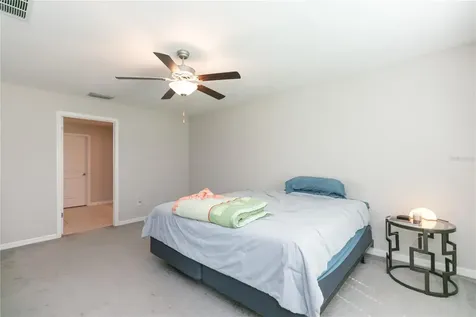 13608 Willow Bluestar Loop Riverview FL 33579