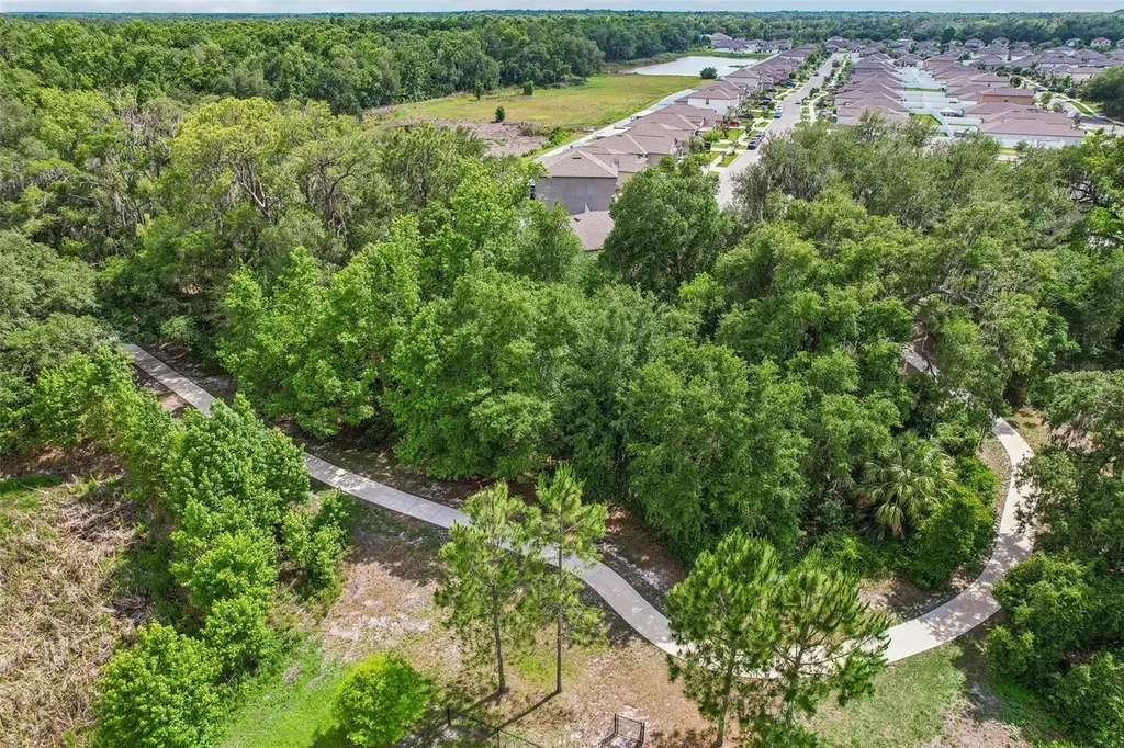 2905 Lytton Hall Drive Zephyrhills FL 33540