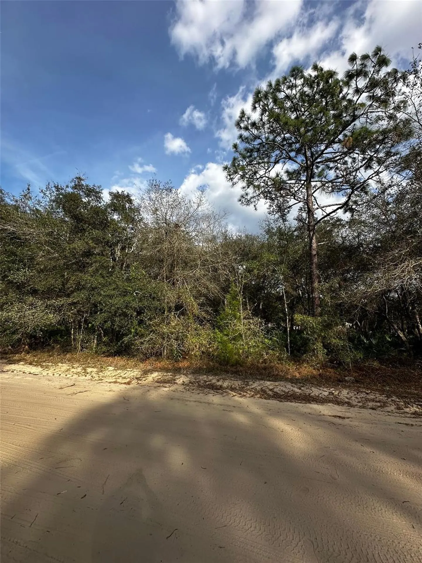 13-10-24-4079-0060-0040 Interlachen FL 32148