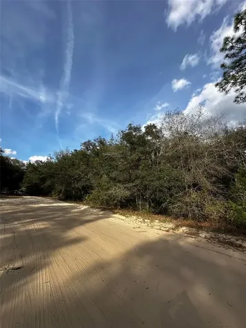 13-10-24-4079-0060-0040 Interlachen FL 32148