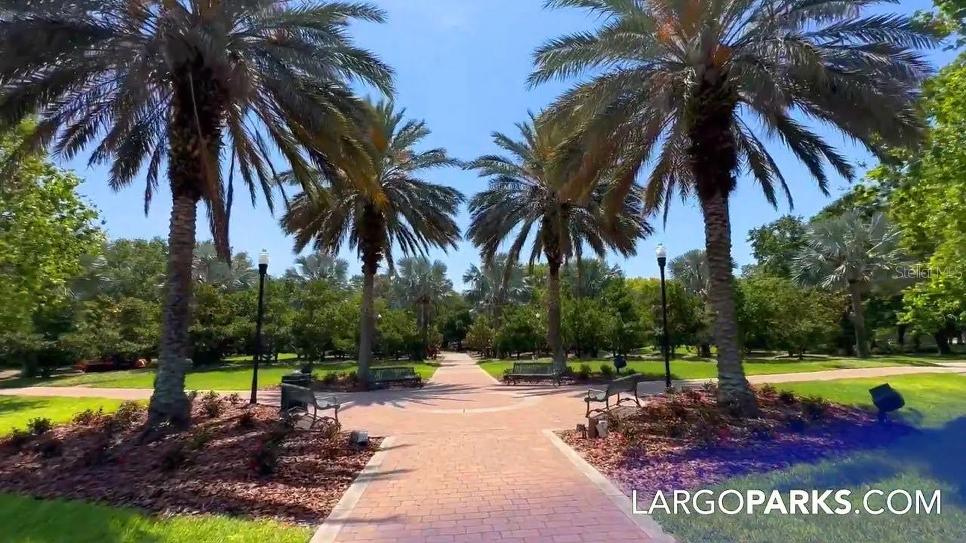 3225 Rosery Road NE Largo FL 33771