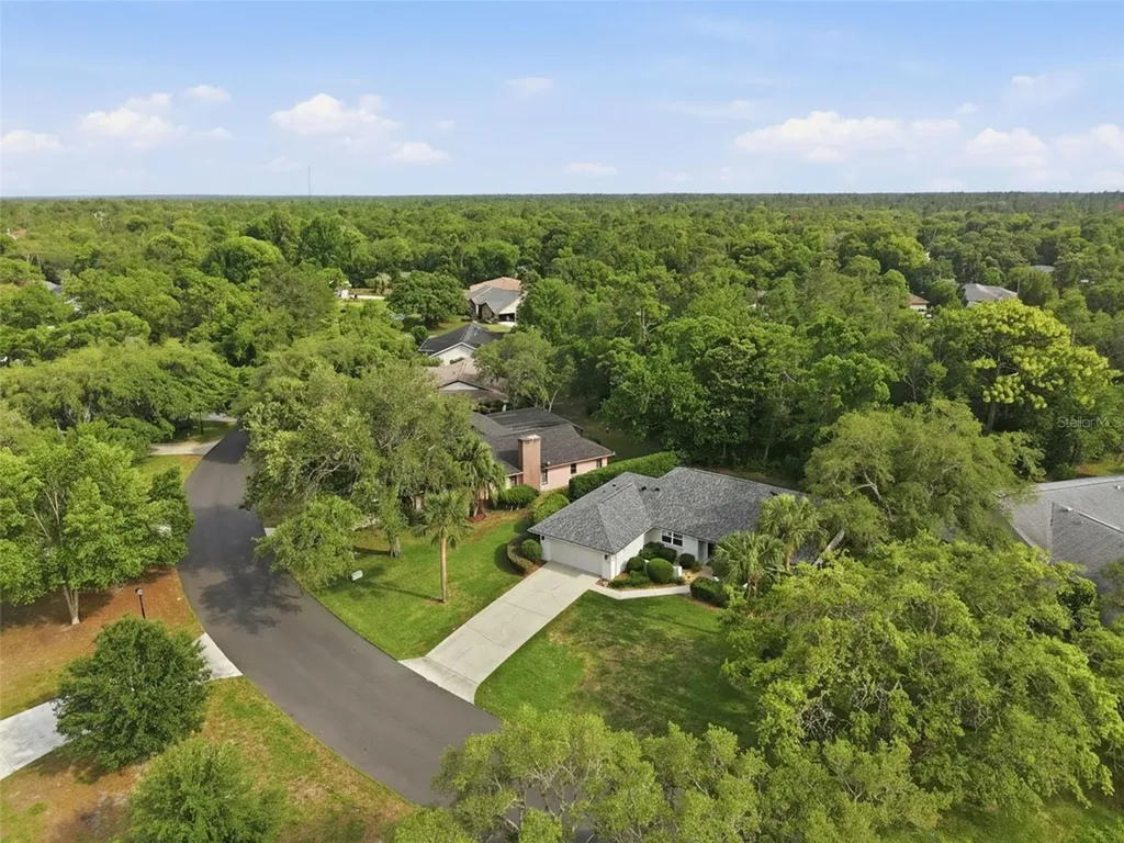7 Salvia Court W Homosassa FL 34446