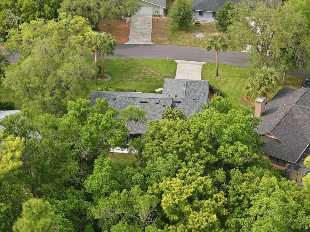 7 Salvia Court W Homosassa FL 34446