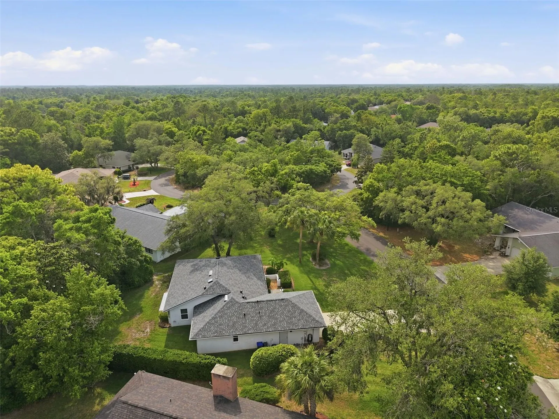 7 Salvia Court W Homosassa FL 34446