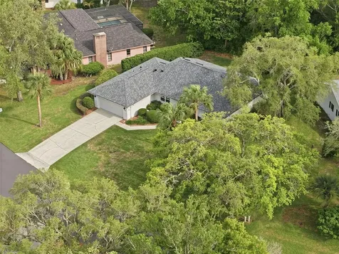 7 Salvia Court W Homosassa FL 34446