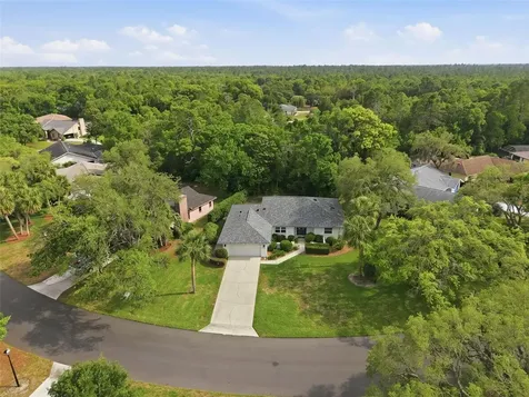 7 Salvia Court W Homosassa FL 34446