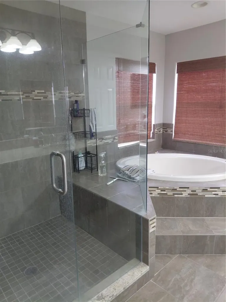 27730 Kirkwood Circle Wesley Chapel FL 33544