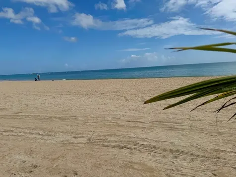 187 Horizonte Carolina PR 00979