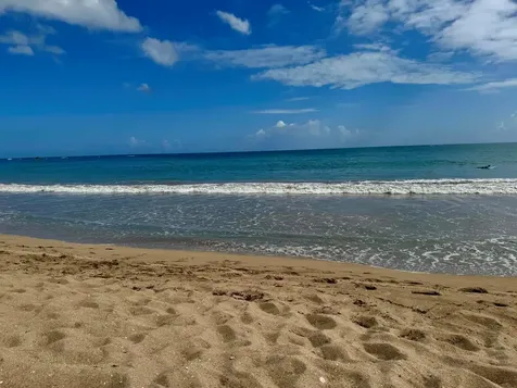 187 Horizonte Carolina PR 00979