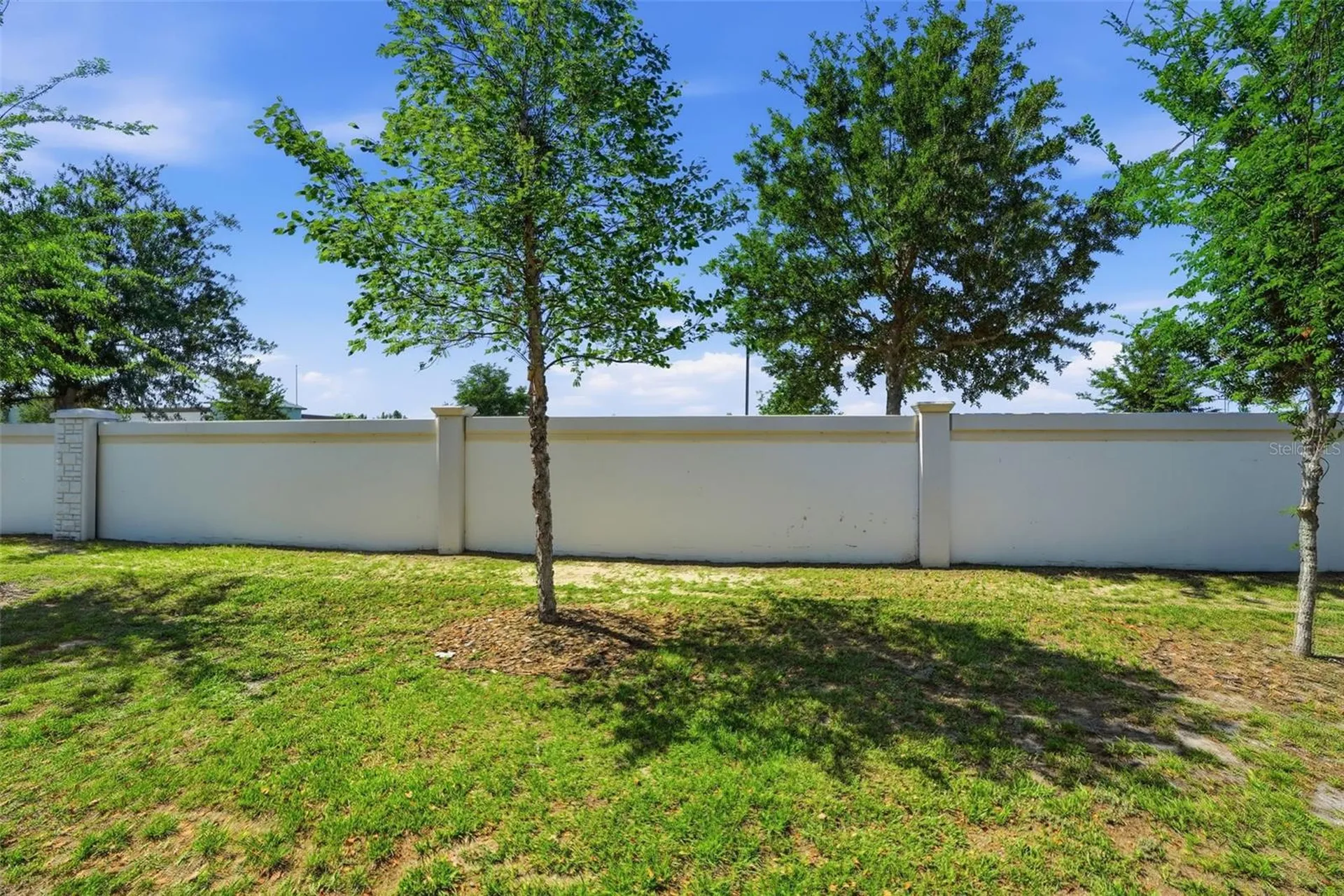 5267 Dragonfly Drive Wildwood FL 34785