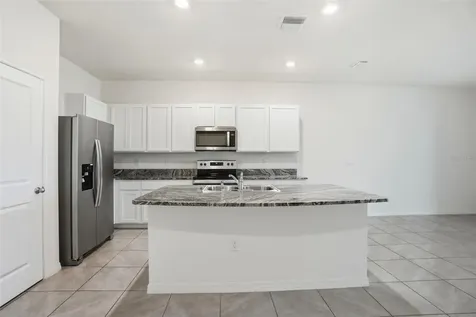 5267 Dragonfly Drive Wildwood FL 34785