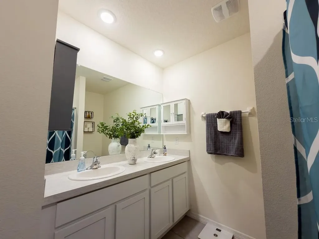 17014 Blister Wing Drive Wimauma FL 33598