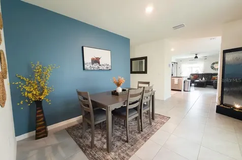 17014 Blister Wing Drive Wimauma FL 33598