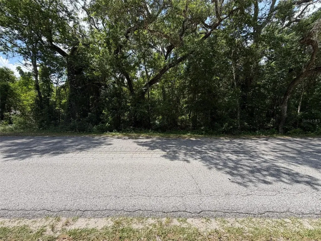 0 Cr 656 Webster FL 33597