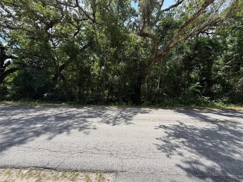 0 Cr 656 Webster FL 33597