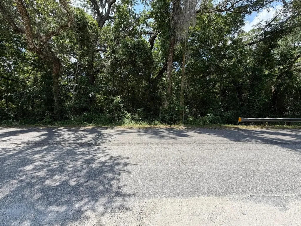 0 Cr 656 Webster FL 33597