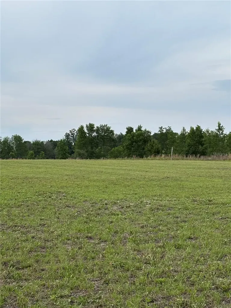 974 SW Sherlock Terrace Lake City FL 32024