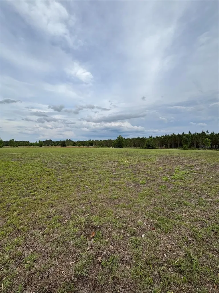974 SW Sherlock Terrace Lake City FL 32024