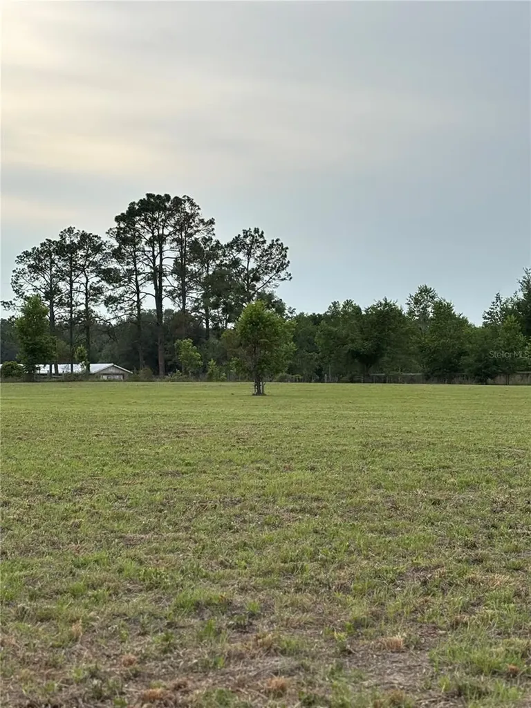 974 SW Sherlock Terrace Lake City FL 32024