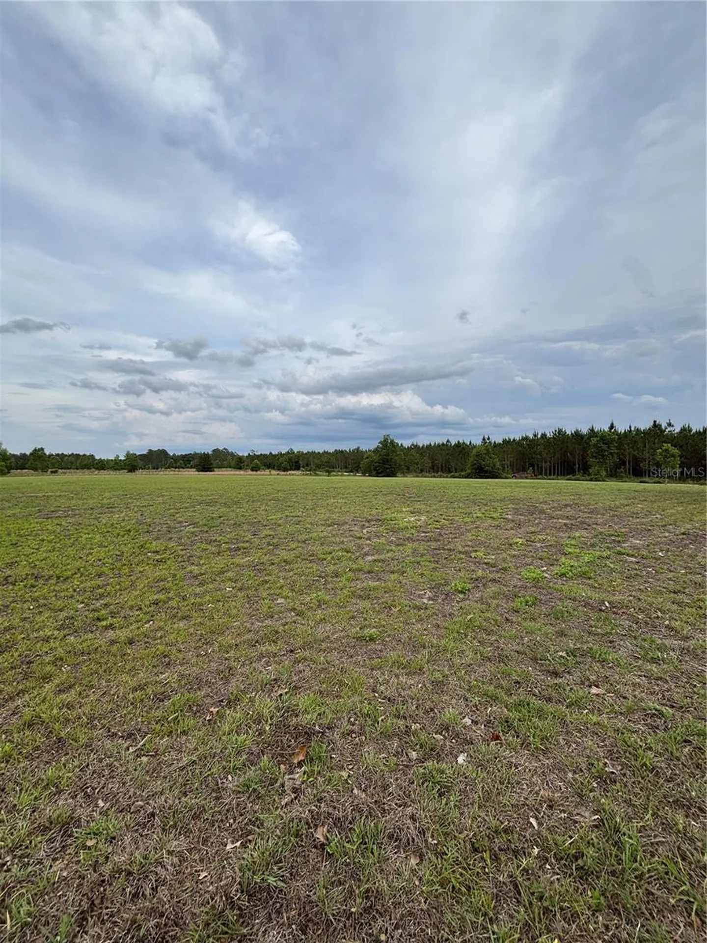 974 SW Sherlock Terrace Lake City FL 32024
