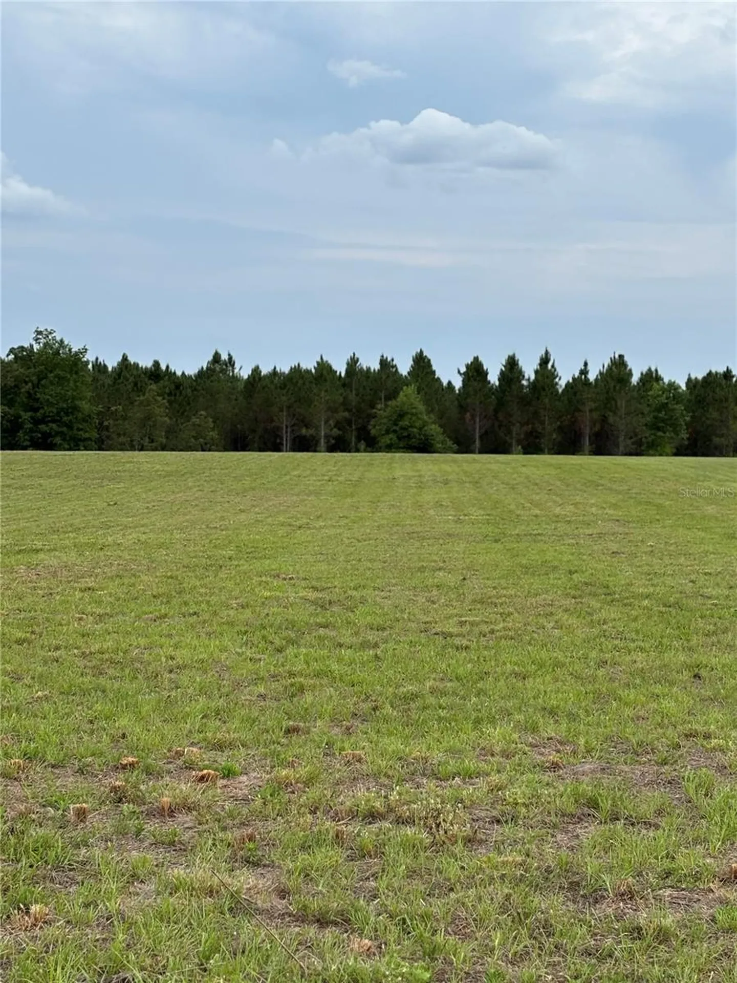 974 SW Sherlock Terrace Lake City FL 32024