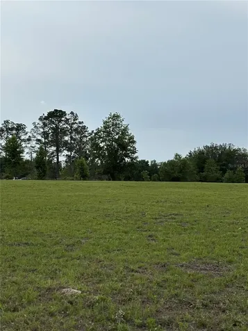 974 SW Sherlock Terrace Lake City FL 32024