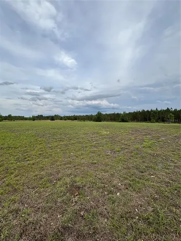 974 SW Sherlock Terrace Lake City FL 32024