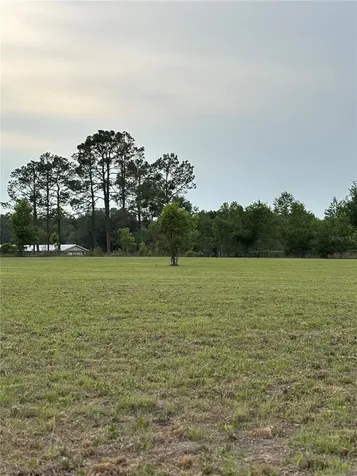 974 SW Sherlock Terrace Lake City FL 32024
