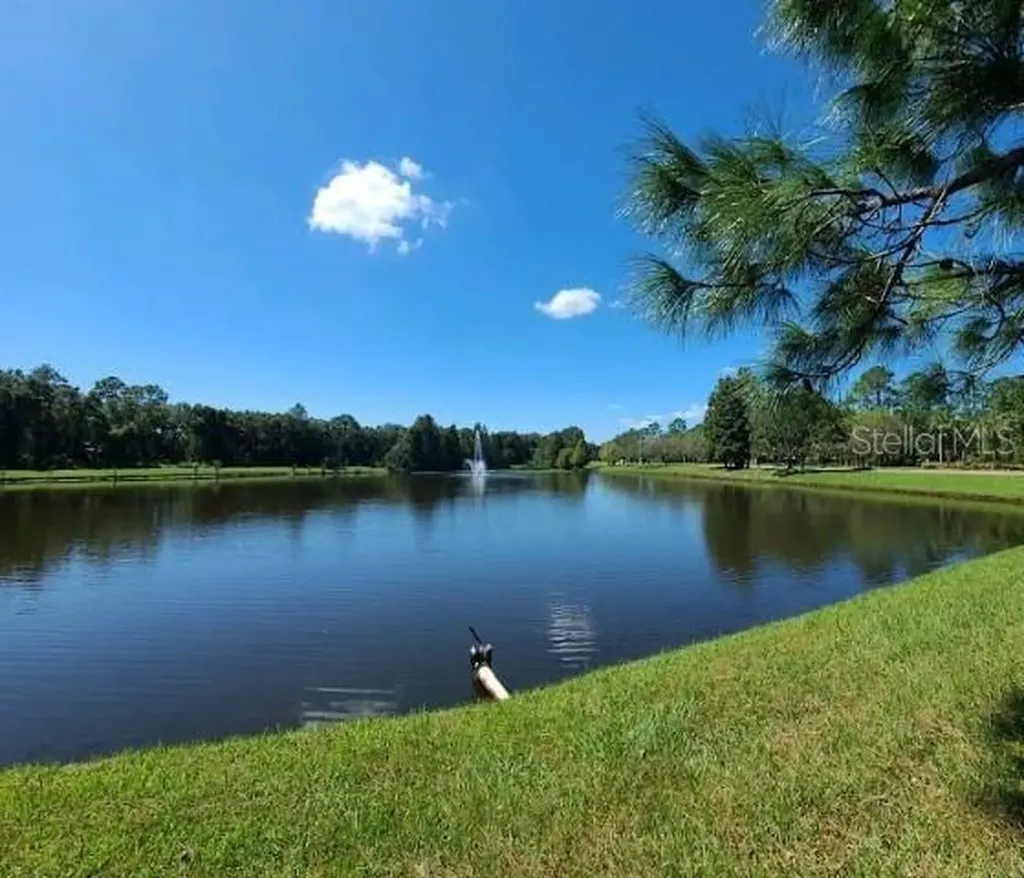 12415 Berkeley Square Drive Tampa FL 33626
