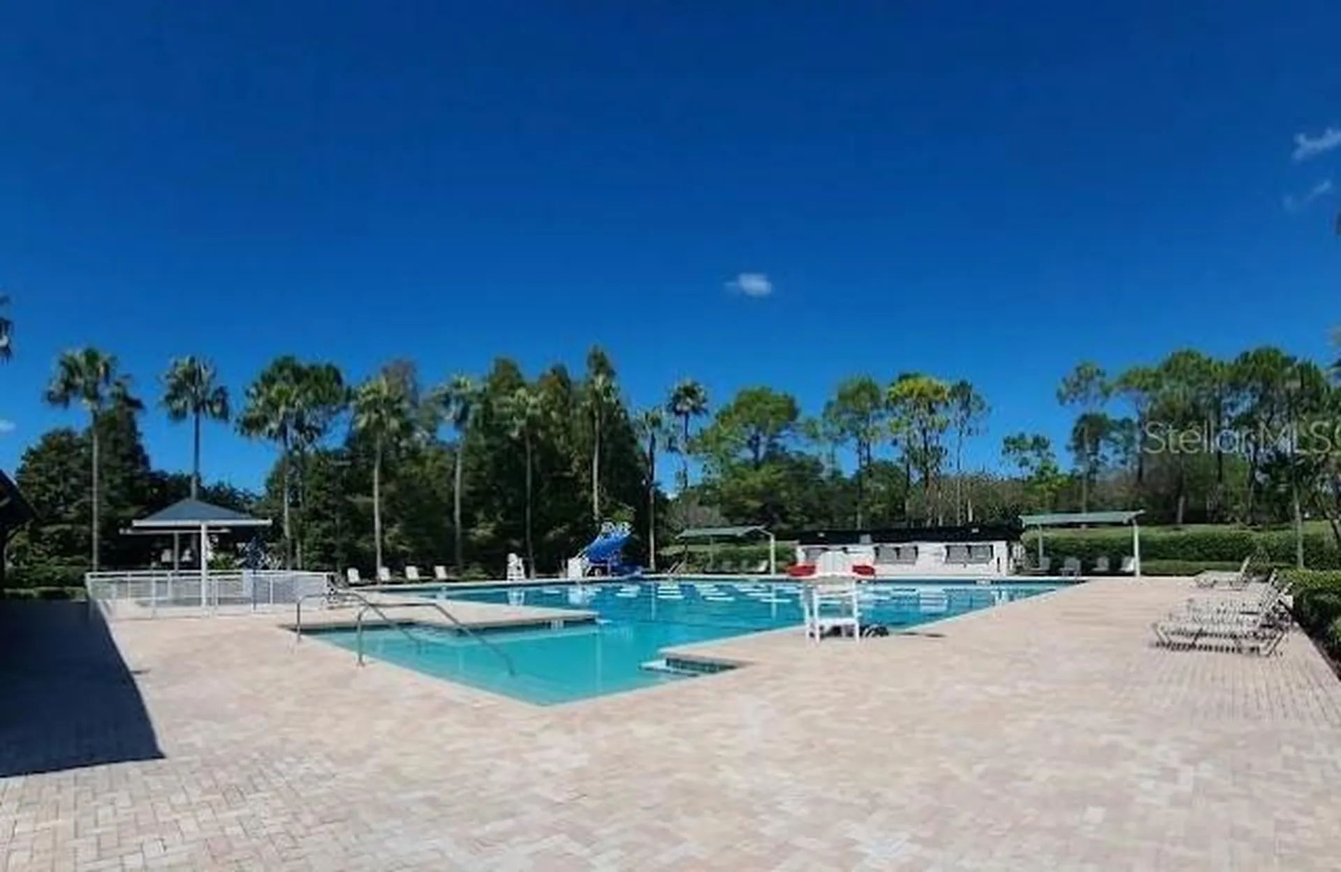 12415 Berkeley Square Drive Tampa FL 33626