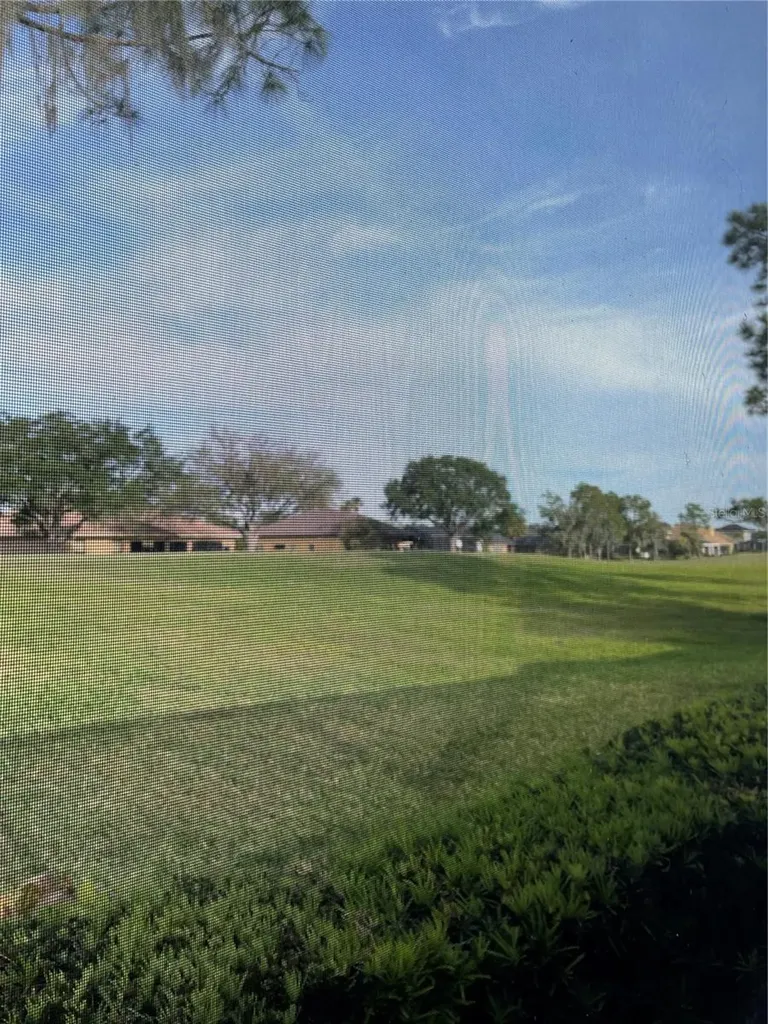 1209 Vista Hills Drive Lakeland FL 33813