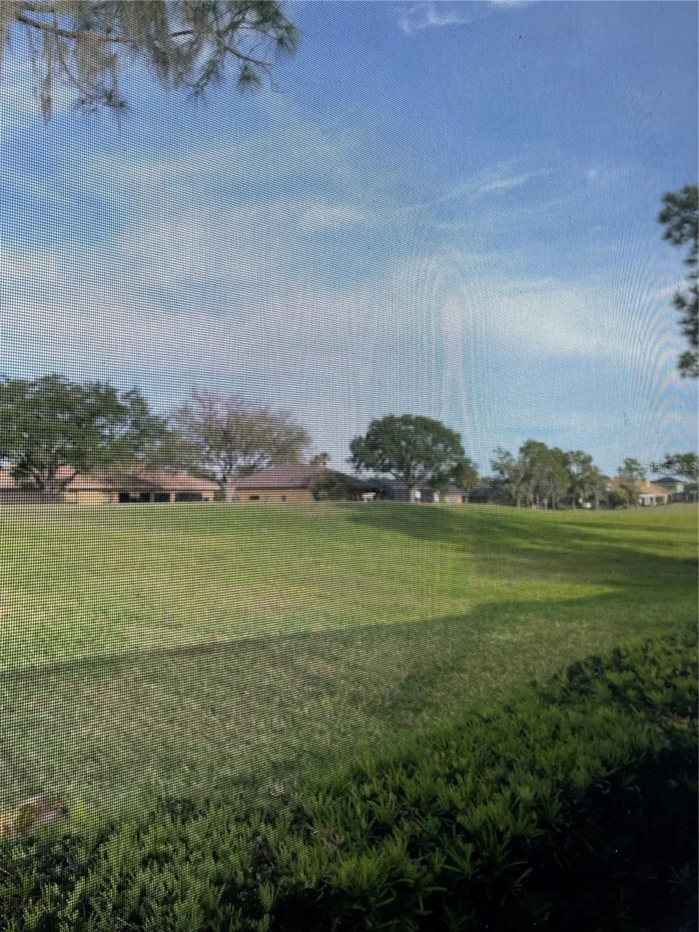 1209 Vista Hills Drive Lakeland FL 33813