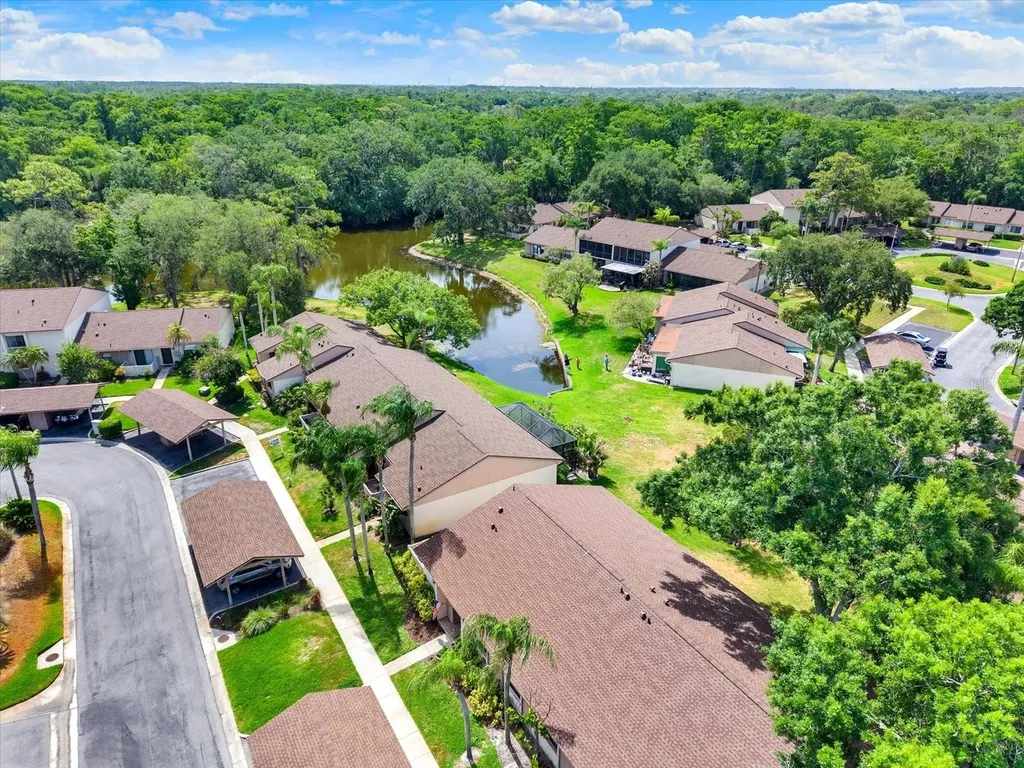 Oldsmar FL 34677