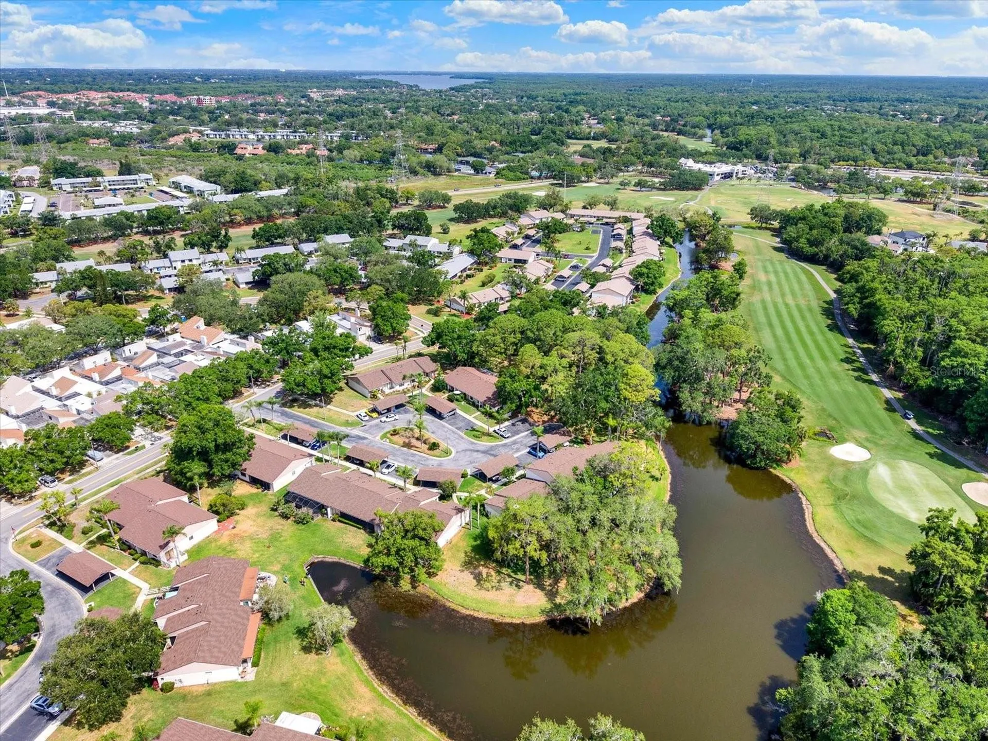 Oldsmar FL 34677
