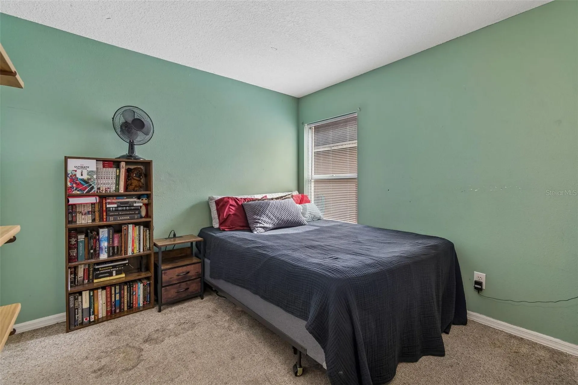 11223 Bramblebrush Street Tampa FL 33624