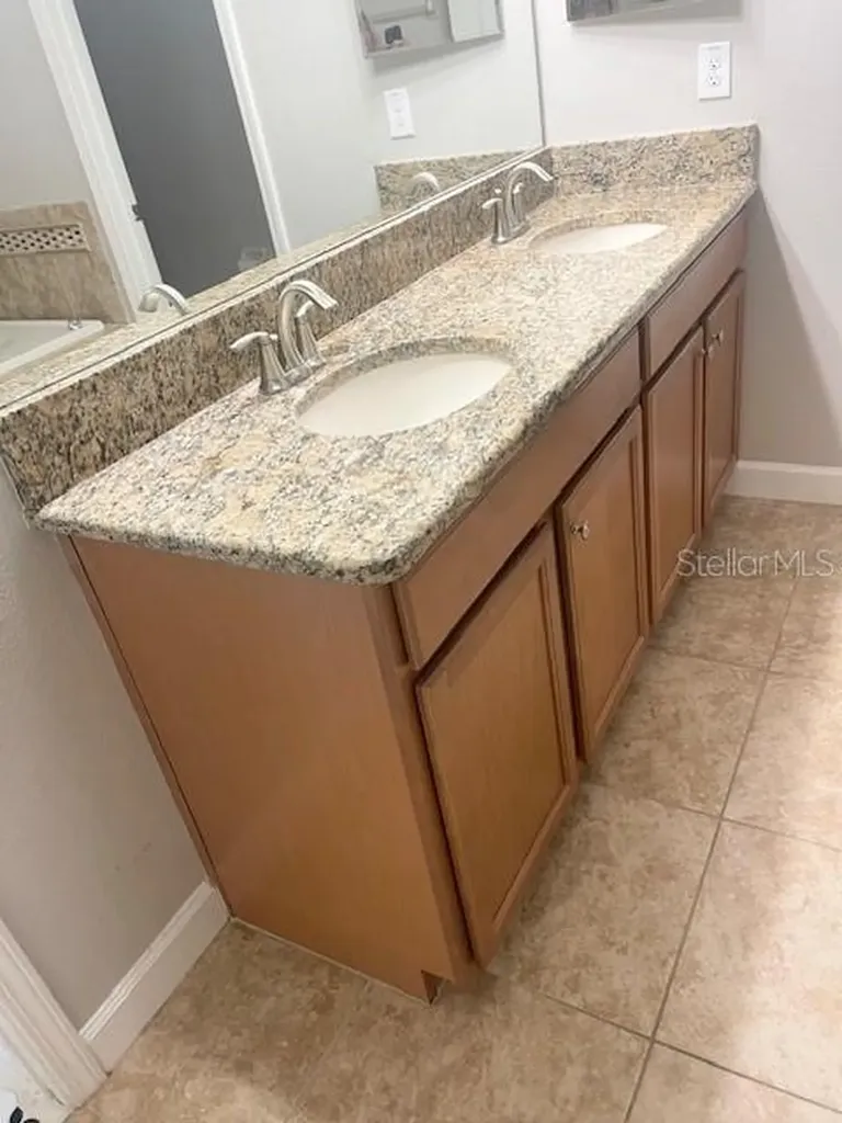 20010 Bright Oak Court Tampa FL 33647