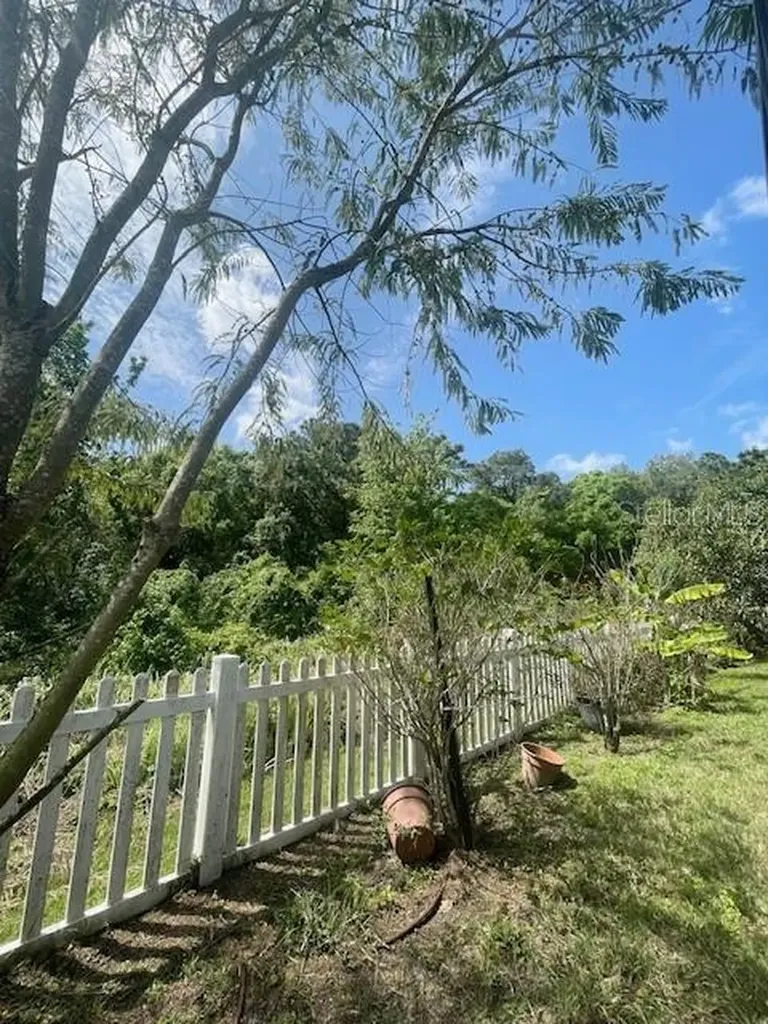 20010 Bright Oak Court Tampa FL 33647