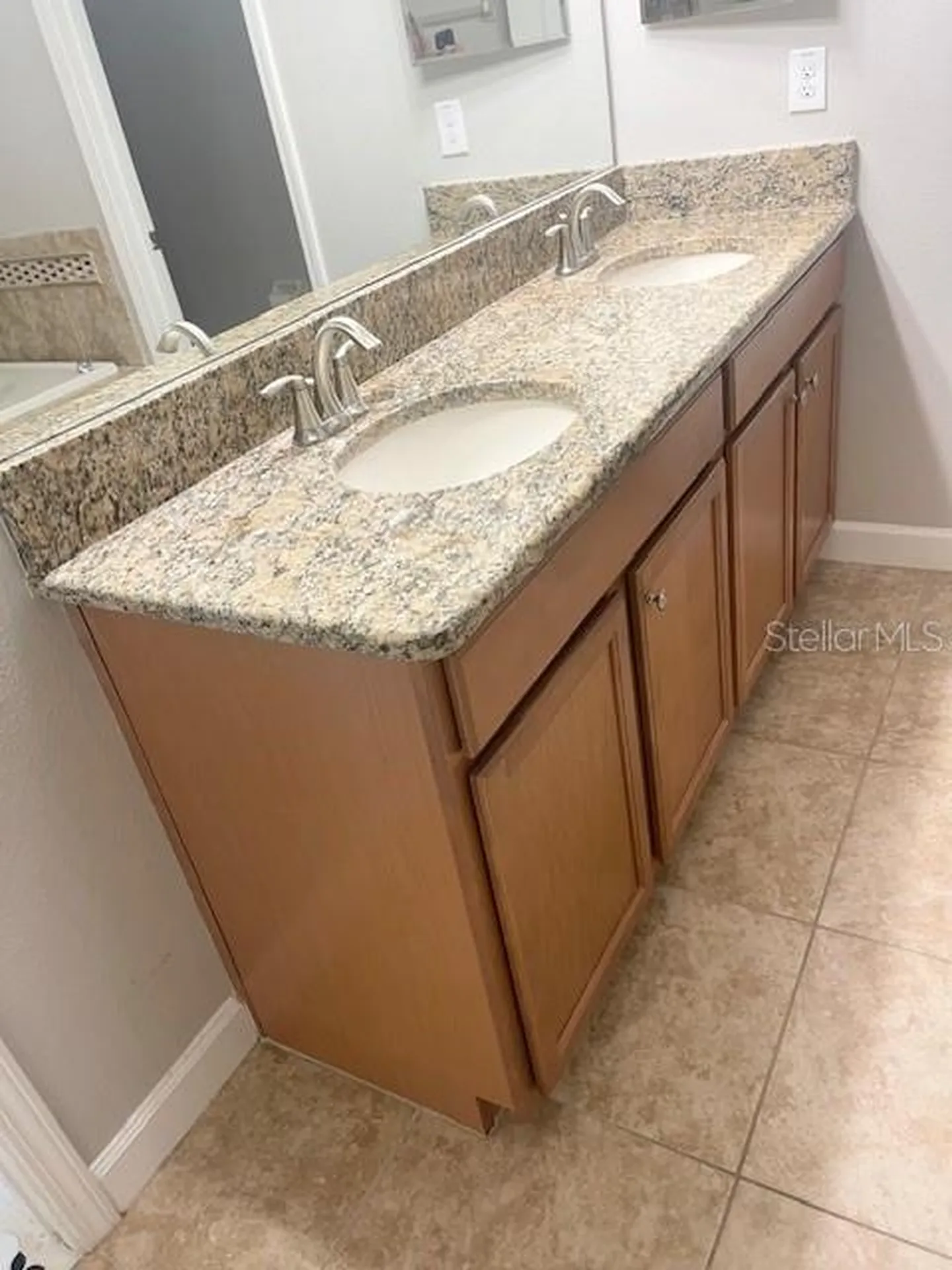 20010 Bright Oak Court Tampa FL 33647