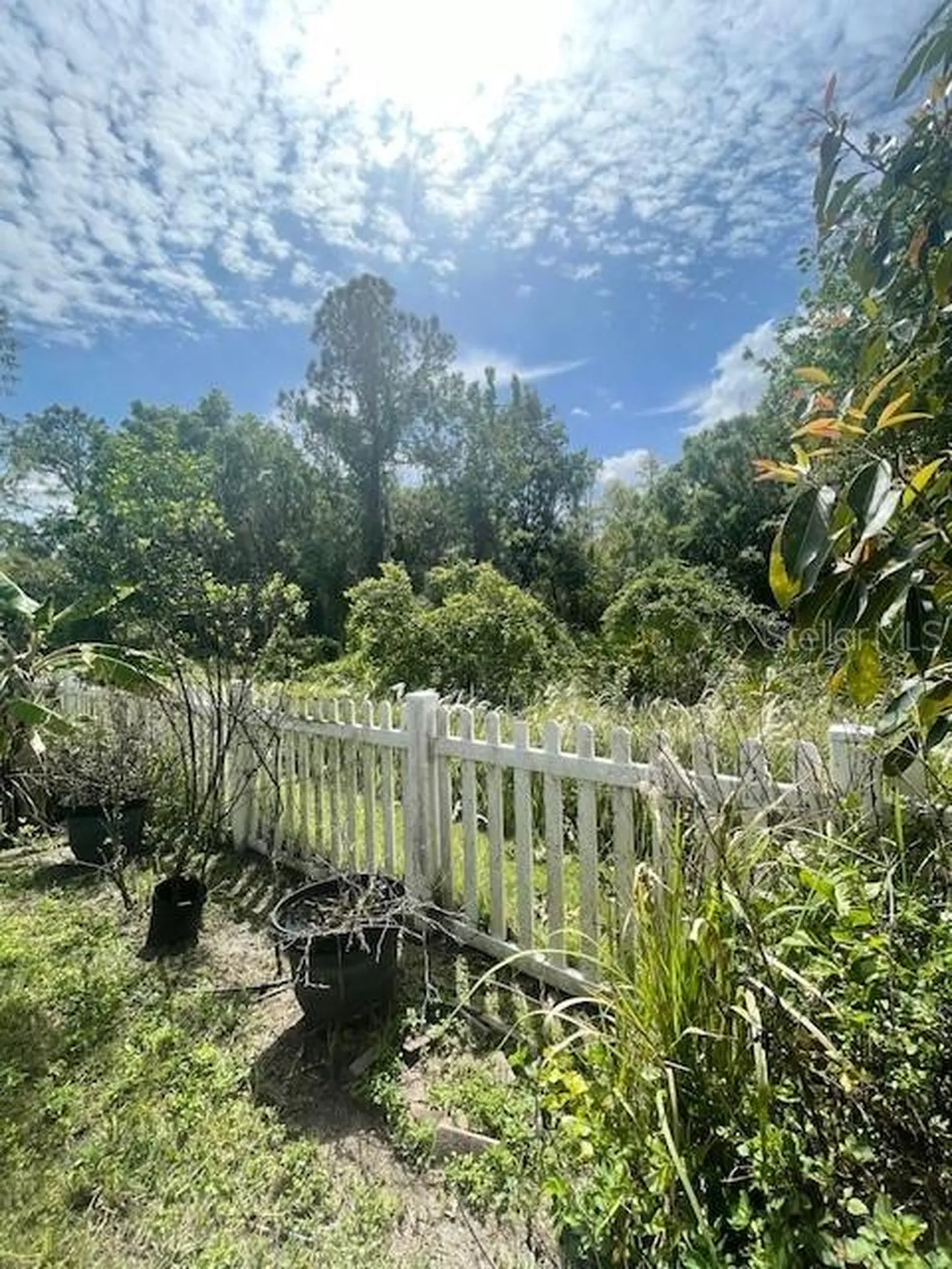 20010 Bright Oak Court Tampa FL 33647