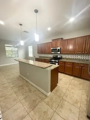 20010 Bright Oak Court Tampa FL 33647