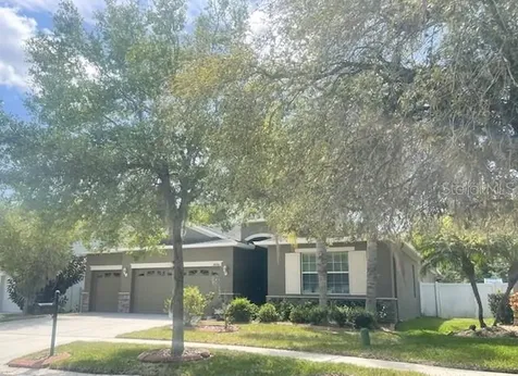 20010 Bright Oak Court Tampa FL 33647