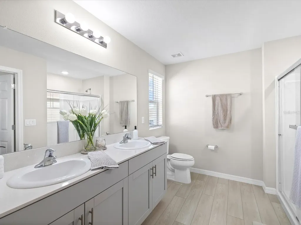 34110 Scarlet Sage Court Wesley Chapel FL 33545