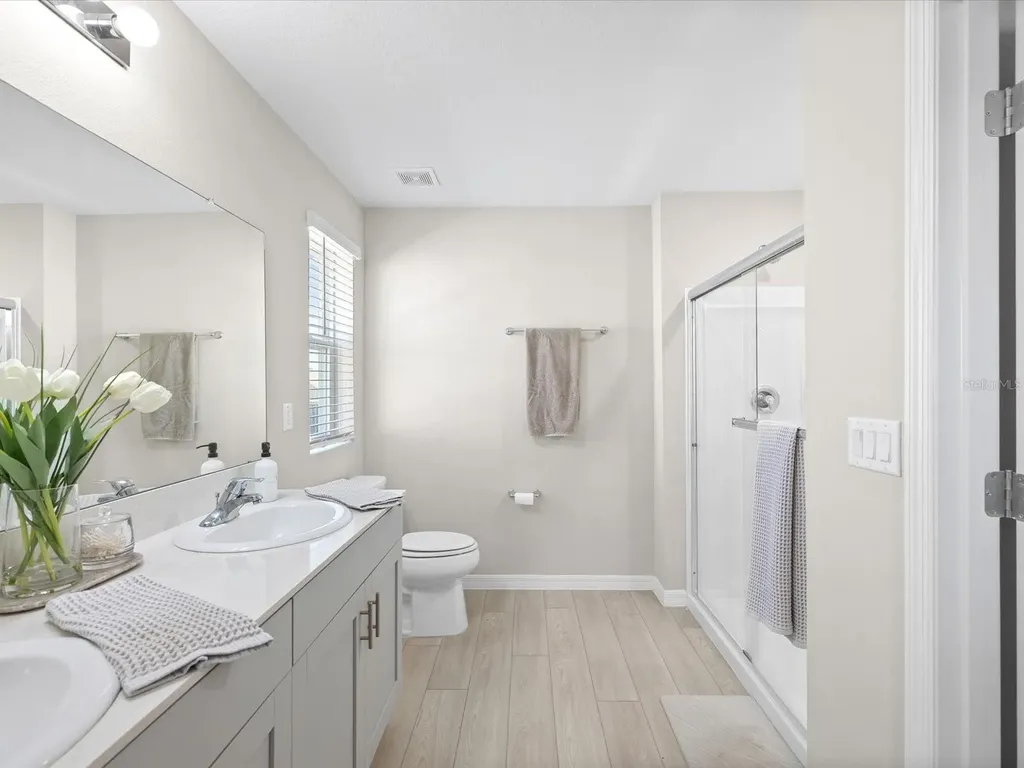 34110 Scarlet Sage Court Wesley Chapel FL 33545