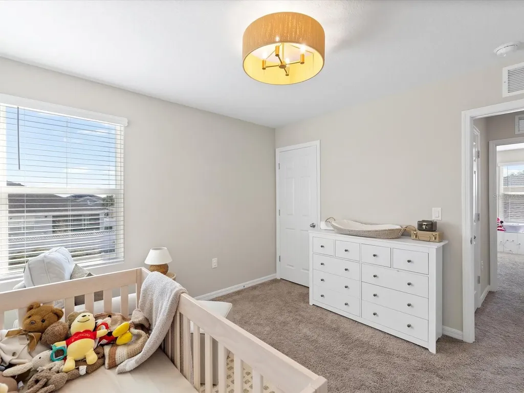 34110 Scarlet Sage Court Wesley Chapel FL 33545