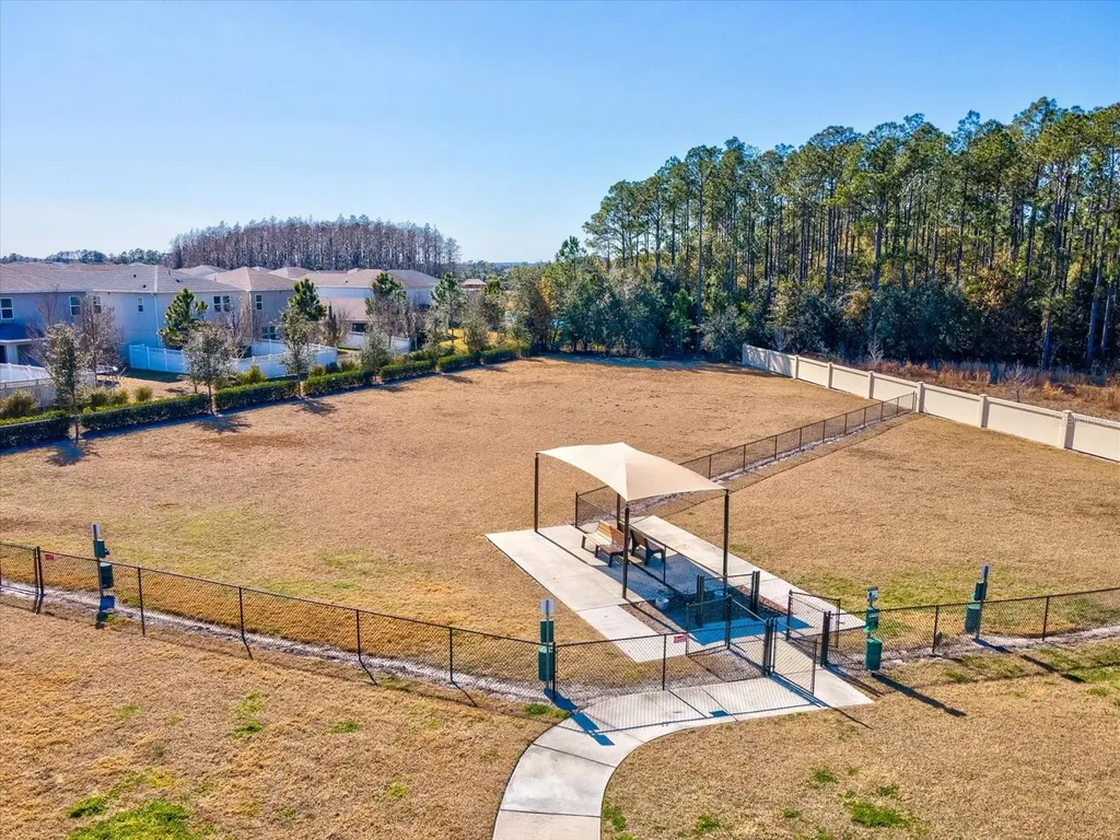34110 Scarlet Sage Court Wesley Chapel FL 33545