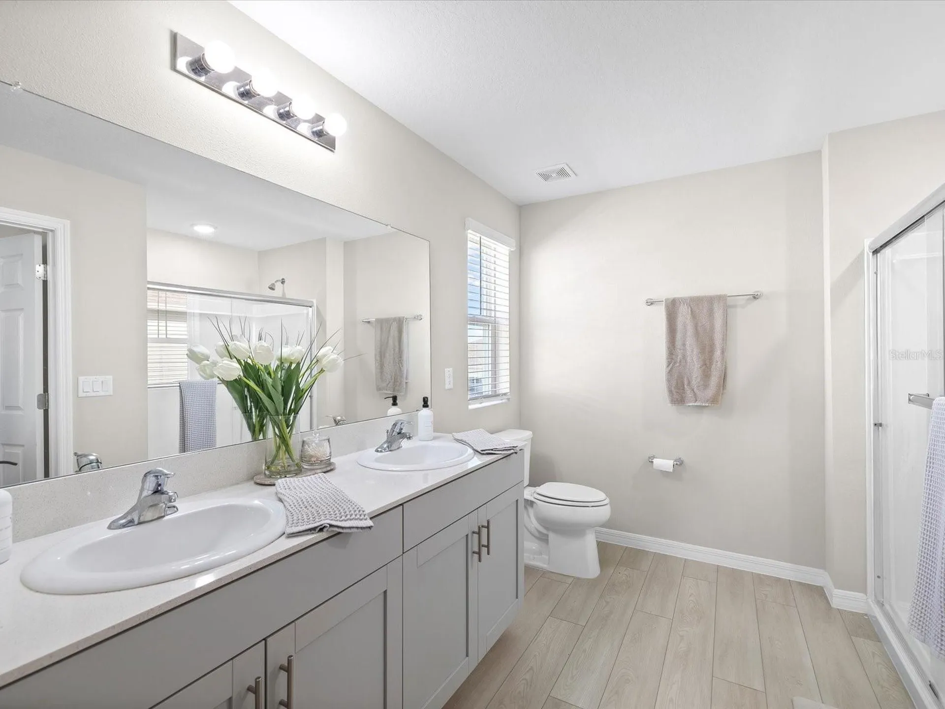 34110 Scarlet Sage Court Wesley Chapel FL 33545