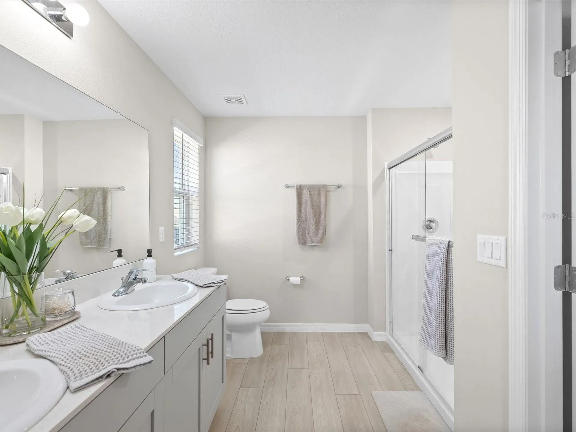 34110 Scarlet Sage Court Wesley Chapel FL 33545