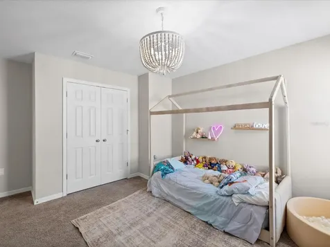 34110 Scarlet Sage Court Wesley Chapel FL 33545