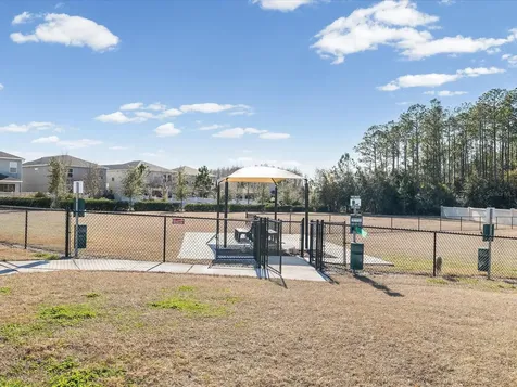 34110 Scarlet Sage Court Wesley Chapel FL 33545
