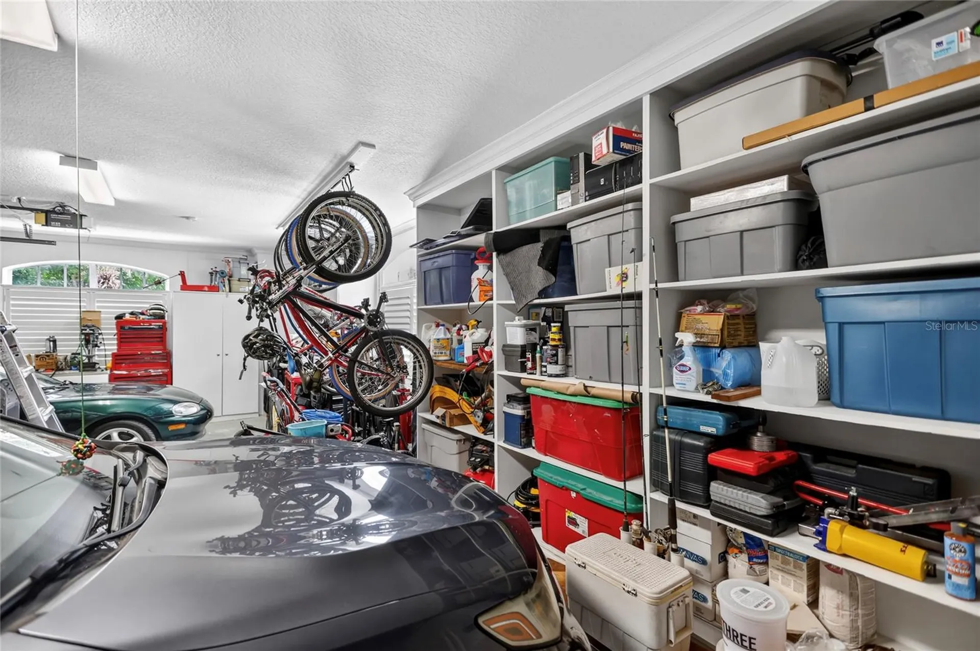 3617 Beech Tree Drive Orlando FL 32835